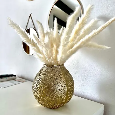 卡拉迪西塔酒店 3*