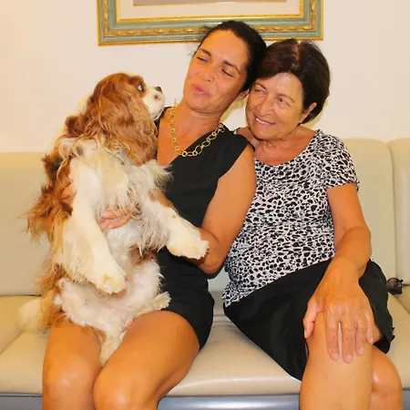 卡拉迪西塔酒店 酒店 卡拉赛达