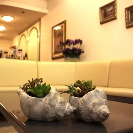 酒店 卡拉迪西塔酒店 3*